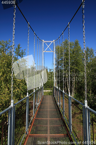 Image of Bridge in nature