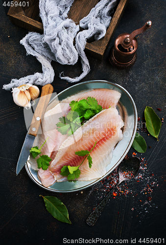 Image of raw fish fillet 