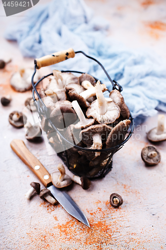 Image of raw mushrooms