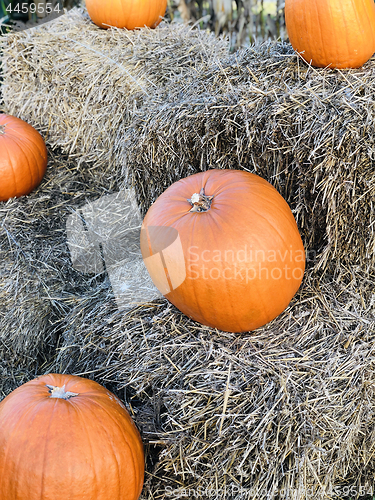 Image of Pumpkin on hay stack