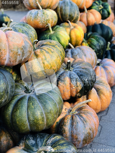 Image of Halloween Pumpkins in market in a large pile