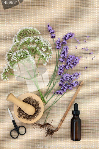 Image of Lavender and Valerian Herbal Medicine