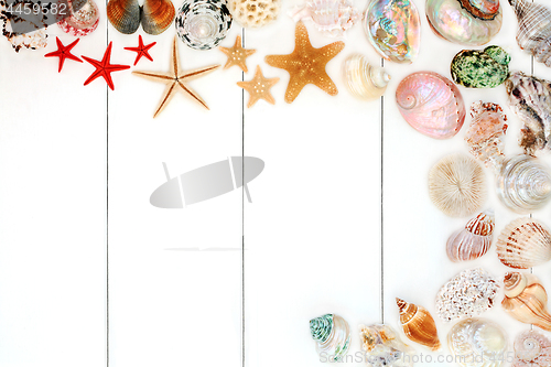 Image of Seashell Background Border