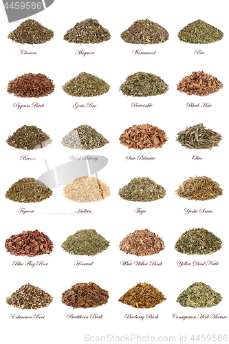 Image of Herbs for Herbal Medicine