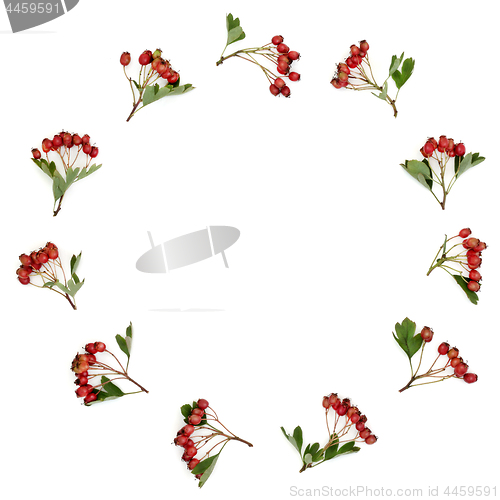 Image of Hawthorn Berry Wreath