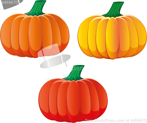 Image of Set of three pumpkins with different colors