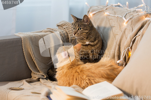 Image of two cats lying on sofa at home