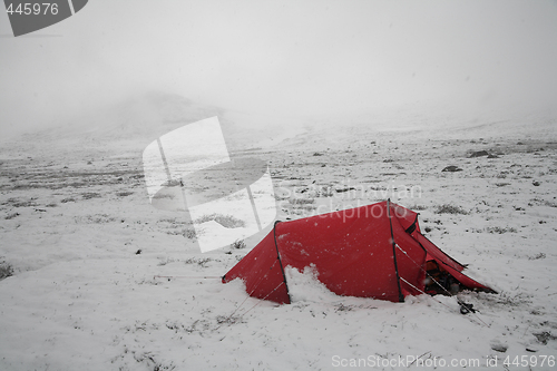 Image of Summer in the mountains