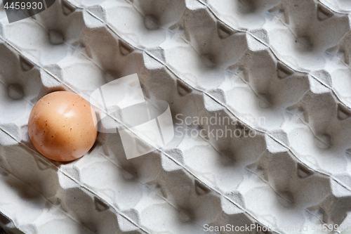 Image of Egg