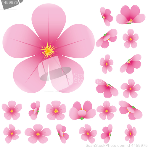 Image of Cherry blossom, flowers of sakura, set, pink, flowers collection