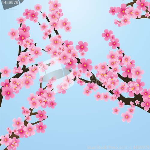 Image of Cherry blossom, flowers of sakura, tree brunch, blue sky, spring background