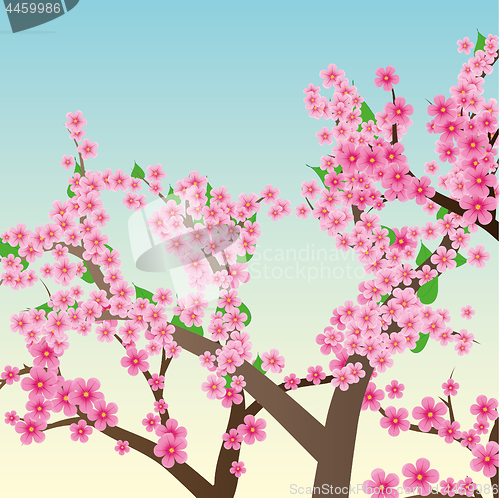 Image of Spring or summer background with cherry blossom, sakura trees