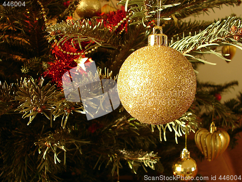 Image of Christmas tree