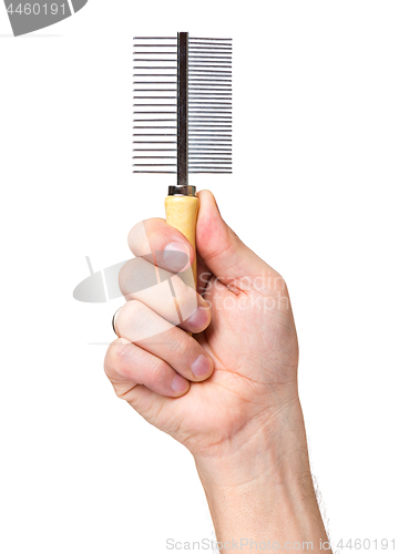 Image of Hand with dogs grooming brush