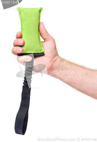 Image of Hand with dog toy