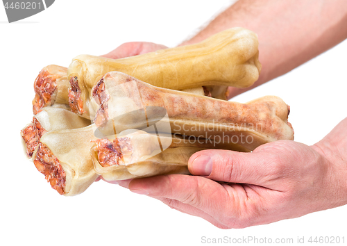 Image of Hand with dog bone