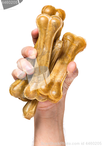 Image of Hand with dog bone