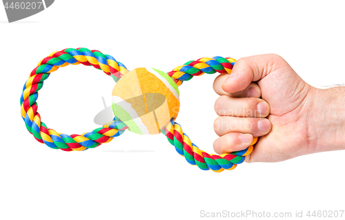 Image of Hand with dog toy