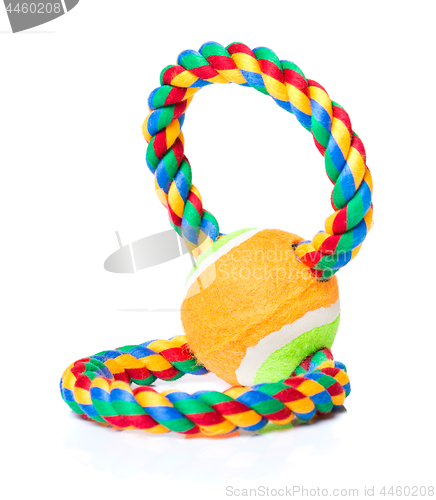 Image of Dog toy on white