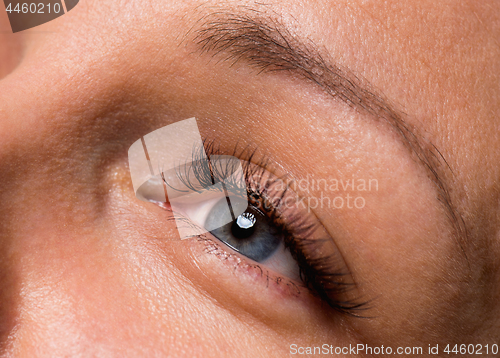 Image of Face woman with eyes and eyelashes