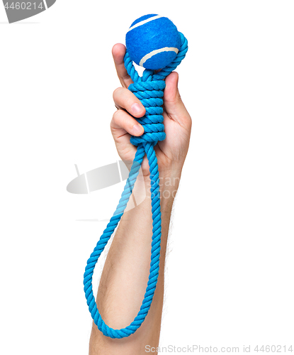 Image of Hand with dog toy