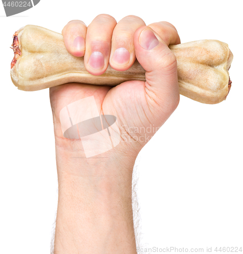 Image of Hand with dog bone