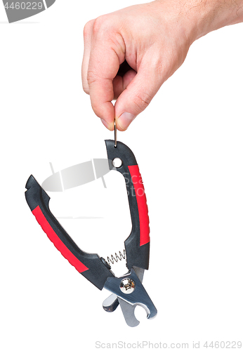 Image of Hand with scissors for claws