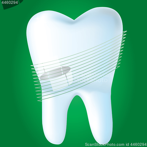 Image of Tooth on green background