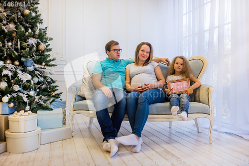 Image of Family portrait near christmas tree