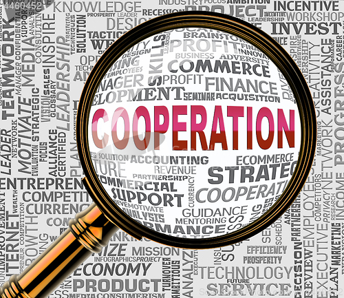 Image of Cooperation Magnifier Indicates Team Work And Collaborate