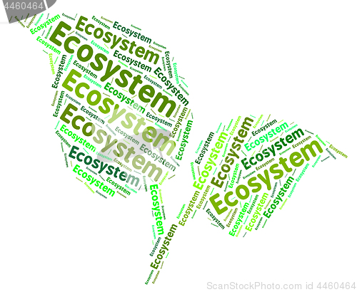 Image of Ecosystem Word Indicates Earth Day And Biosphere