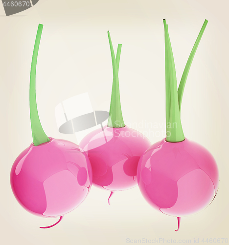 Image of Small garden radish isolated on white background. 3d illustratio