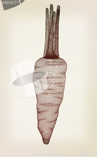 Image of carrot. 3D illustration. Vintage style