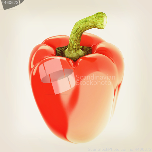 Image of Red bulgarian pepper. 3d illustration. Vintage style
