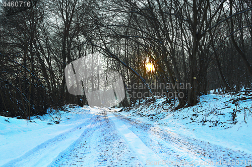Image of road in the woods, winter scene at dawn