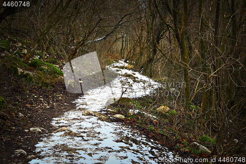 Image of pedestrian path in the forest, winter scene