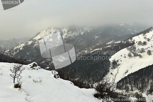 Image of winter on the hills