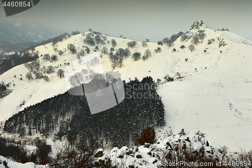 Image of Trascau mountains in winter