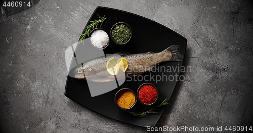 Image of Plate with fish and spices