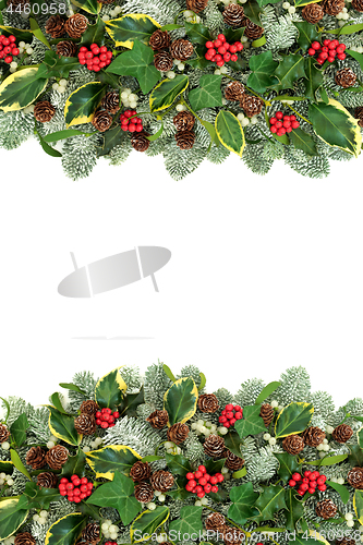 Image of Winter and Christmas Border