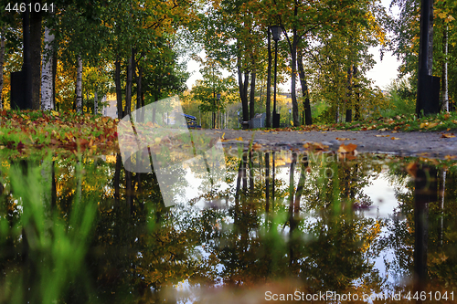 Image of Maple leaves and reflections in puddles in autumn park