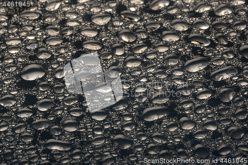 Image of Macro water drops background