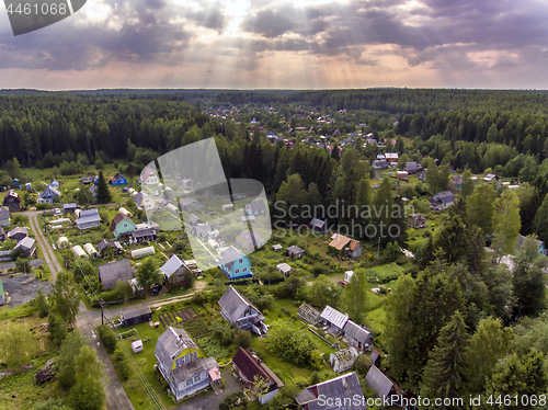 Image of Village in pine forest aerial view