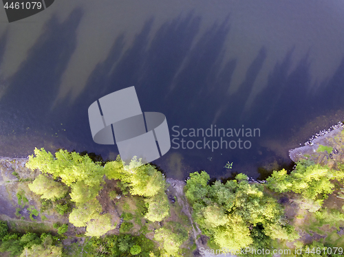 Image of Aerial view on wild pond in forest in summer day