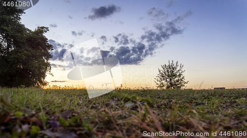 Image of Evening meadow landscape at golden hour