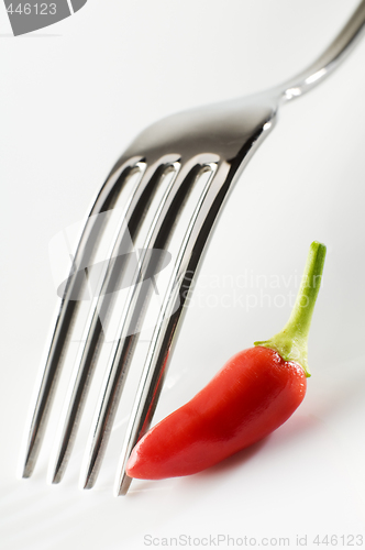 Image of chili