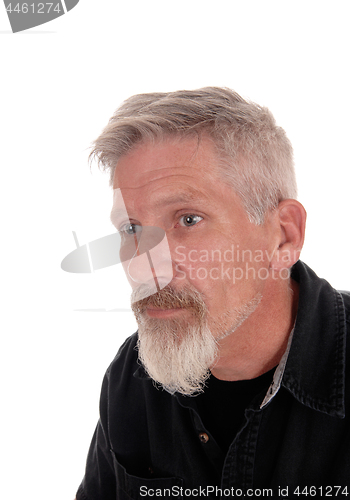 Image of Portrait of a gray haired middle age man