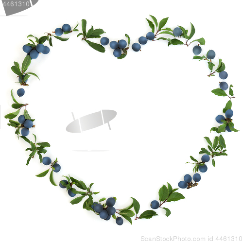 Image of Heart Shaped Blackthorn Berry Wreath