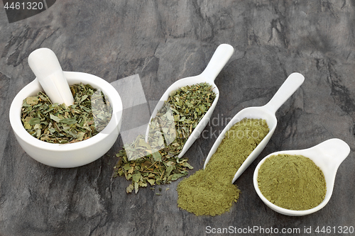 Image of Moringa Herb Leaf and Powder