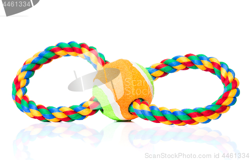 Image of Dog toy on white